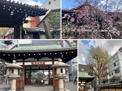 寺町通りを歩いてホテルに戻ります。

途中、明智光秀の乱で有名な本能寺に立ち寄りましたが、信長が襲われたのはこの場所でないようで、本能寺の変のあと1591年に豊臣秀吉により移転させられ、信徒達により再建されたものです。

織田信長の廟所があり、信長の三男織田信孝によって建立されたものですが、本能寺の変の部隊には間違いないようです。
本能寺の「能」の字は、火事による焼失がいく度となくあった事から、匕（火）を嫌い、異字になっています。
