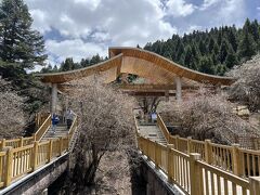 なんとか約束通り４時間で登山口ゲートまで降りて来れました。