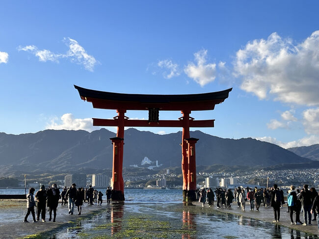 寒い時期は靴の中が濡れると大変なので気を付けながら歩きました。
