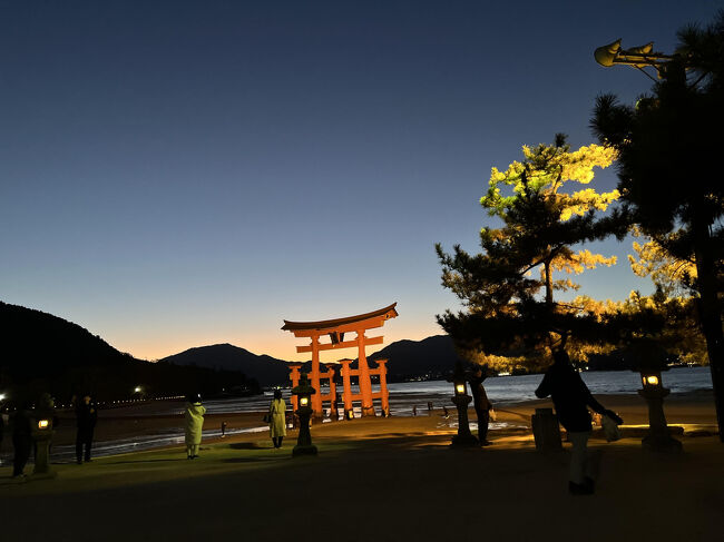 寒い中、暗くなるのを待ちました。徐々に暗くなるので、もっと暗くなるのでは？とずっと待ってしまった。