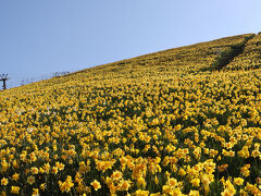 すごい、すばらしい。