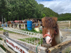 なんだかキレイになっていた。

「千本松牧場」

