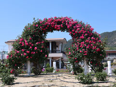 13:50　よしうみバラ公園
遊覧船のガイドさん情報で立ち寄りました