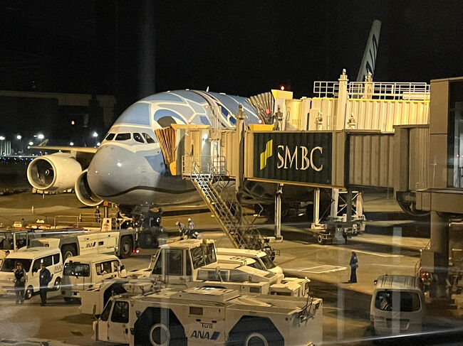 2/18着✨3機まとめフライングホヌ/AirbusA380/ANA 1/350 2/18着✨3機まとめフライングホヌ/AirbusA380/ANA 1/350
