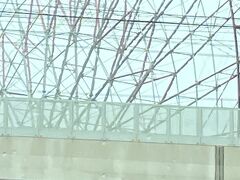 2025年5月25日(日)雨　旅行1日目
　天気予報通り、雨。福岡雨女、健在。人間はだいぶヘロヘロしてるのですが。
　先日生協で購入した、リュックカバー、早速使えて嬉しいとでも思わなければ。霧雨から小雨の間の降り具合だったので、傘はささず、パーカーのフードでバス停まで歩きました。片手でキャリーを引っ張って、もう片手で傘をさすのはちょっときついと思って。でも、顔は濡れました。この雨、札幌についてくるのよね。