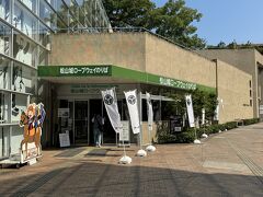 2日目の観光は松山城に。

