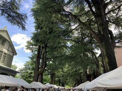クラフトまつもとの会場である、あがたの森公園に到着しました。
出展者のテントが並んでいてテンションが上がってきました！