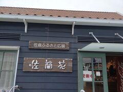 佐蘭花