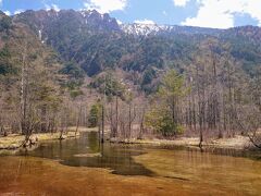 田代池は大体、逆光になりがちですよねw