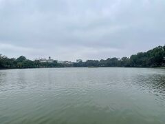 湖の水は濁っていますが、何か生き物がいるのかしら…。