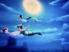 ウェンディ、ジョン、マイケルの３姉弟とピーターパン…
月夜が美しい