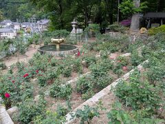 説明文にも有ったように、バラ園はかつて熊野神社の勧進相撲が行われていた場所で、噴水のところが土俵、バラが植えられた段々が観覧席でした。言われてみると、なるほど