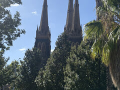 次の建物に向かう途中、州議事堂前のカフェCafé Excelloで軽い昼食をとりました。コーヒーはフラットホワイトをいただきました。フラットホワイトはオーストラリアで人気のコーヒーの飲み方で、エスプレッソに泡立てたスチームミルクを注いだものです。メルボルンはカフェ文化が発展していて、有名なカフェも多くありますが、ここは街角にある普通のカフェです。
昼食後に、州議事堂の裏手にあるセントパトリック大聖堂(St Patrick’s Cathedral)を見ました。こちらはカトリックの司教座聖堂です。