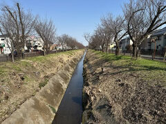 小金井って、こんな街・・・玉川上水
玉川上水は、羽村堰で多摩川から取水し、四谷まで水を供給するために江戸時代に作られた上水道の水路で、現在でも都民の水道水源として利用されています。玉川兄弟が造り、「玉川上水」と命名されています。