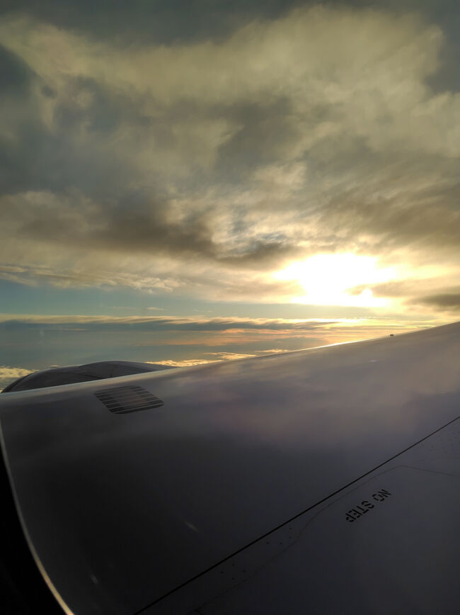 2回目の機内食はお米の気分だったので焼き魚旨煮弁当を頂きました。写真が行方不明。<br />その後はウトウトしつつ窓の外を眺めたり本読んだり映画みたり、めっちゃ暇な時間をひたすら過ごす。<br />徐々に高度を下げ始め、ようやく終わりが見えてきました！