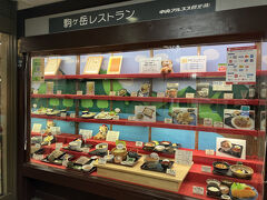 駒ヶ岳サービスエリア(下り) フードコート