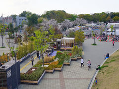 ●等々力緑地

なかなか手のこんだ展示をしています。
子供達が、嬉しそうにはしゃいでいる姿が印象的でした。
やっぱり花には力があるな…。