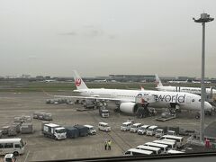 夕方の便で移動するけど、1時間前には羽田空港に着けたんで、先ずはラウンジでお茶してます。