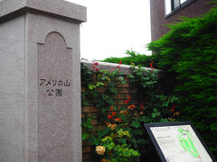 さて、翌々日の日曜日。

