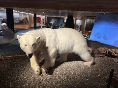 メインロードをそのまま歩いて、しばらくすると、博物館が見えてきます。
博物館も入口で靴を脱ぐか、靴にカバーをつけて入ります。
北極圏開発の歴史などを知ることができます。