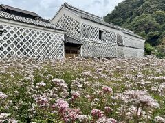 近藤家のある辺りは、なまこ壁通りと呼ばれています。

なまこ壁は、平瓦を壁面に並べて貼り、目地に漆喰を蒲鉾のような形に盛り上げて塗って作られ、目地の部分がナマコに似ている事からそう呼ばれているそうです。

