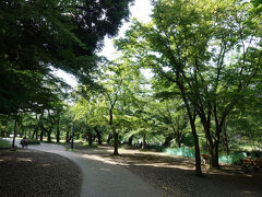 　井の頭公園は、我が子が生まれる前にヨメさんと一緒に訪ねたことがあります。東京育ちのヨメさんの思い出の地を巡る、「東京モヤモヤ街巡り」の途上でした。改めて３人で来れて、感無量。
　５月にしちゃ、えらく暑いですが…この日の東京は、真夏日へ王手をかけていました。