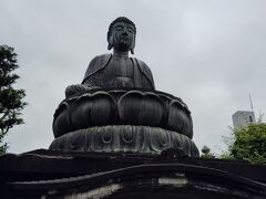 端正なお顔の盧遮那仏。
大豆3粒を植えて育てて10年で得た資金で建立されたそうです。
私も先日帯広でもらった金時豆とモロッコインゲンの種子を植えたばかり。もしかしてお金を生み出すかも、そうなったら世のために使わなければ。
