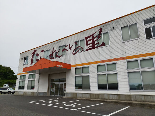 タコせんべい人気です