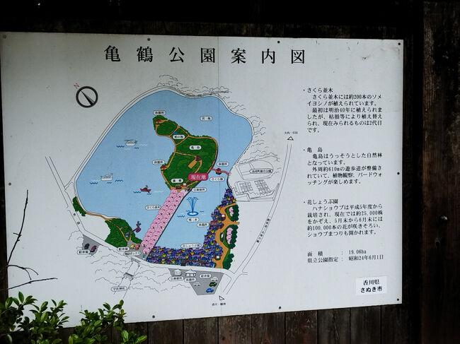 池の中央に亀島