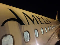 まだまだ機内に留まっていたかったけど、そんなワガママはできないので素直に降機。タラップに出たところで期待を眺める。AMELIAのロゴがオシャレに見えるよ。