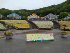 良いフォトスポットも！