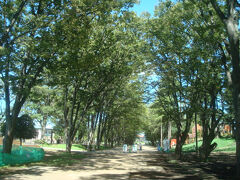 鶴間公園