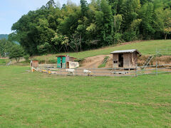 娘は虫が大の苦手。ショップの中に逃げ込んでいました。
ショップではハチミツを使った食材から化粧品など、いろいろなものが売られていました。車でしか来られないような場所ですが、団体さんがちょくちょく来ていました。どうやら日帰りツアーなどの行程に含まれているようですね。