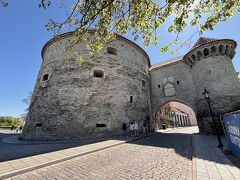 太っちょマルガレータと呼ばれているそうです。