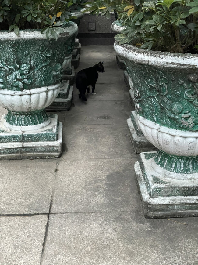 最後にチラッと見てくれたよ