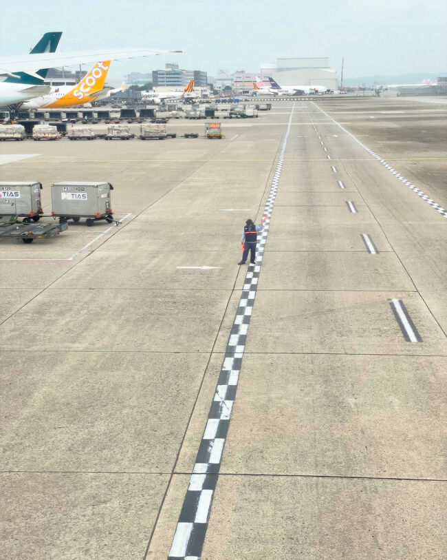 お仕事をしている人や