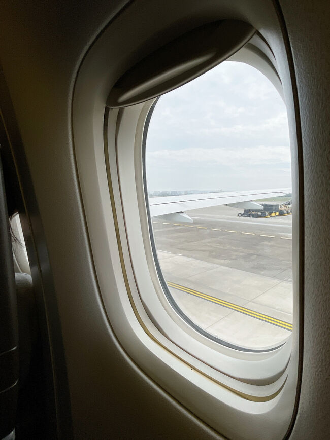 飛行機を見るのが好き