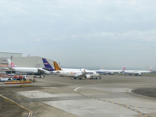 たくさんある飛行機を目に焼き付けておこう