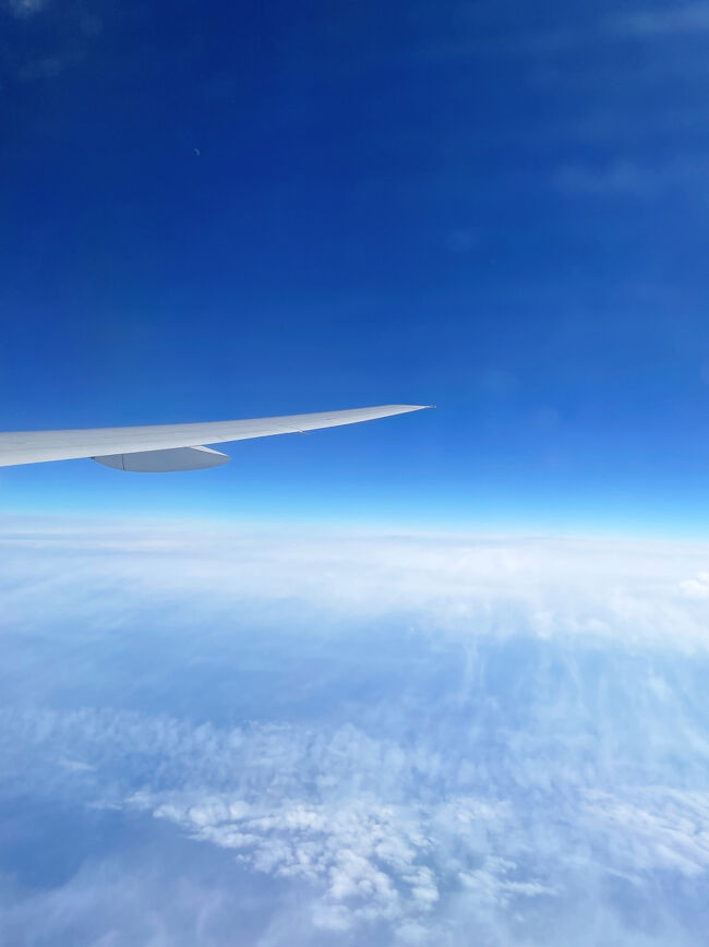 しばらく空を観察して