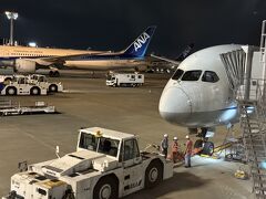 大阪国際空港 (伊丹空港)