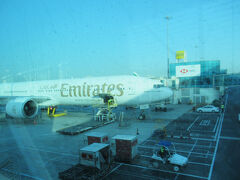 エミレーツのA380型機は総２階建ての大型機。
重量510～575トン、
シロナガスクジラ2頭分の長さ、
キリン5頭分の高さがあるそうです。