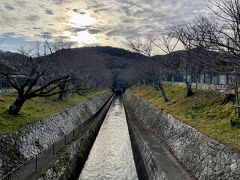 大津駅から徒歩で三井寺に向かう途中にあった琵琶湖疏水。滋賀県民の京都市民への殺し文句として有名な「琵琶湖の水止めたろか」の由来ですよね！個人的に言われたことはないですが…。