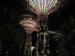 ガーデンズバイザベイにもちょっと立ち寄って、