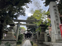 ７社目は大森山王日枝神社、鹿嶋神社から歩いて10分くらいです。大森駅西口前の池上通り沿い、心なしかちょっと湿っぽい境内です。
