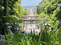 宮地嶽神社の光の道
福津市の街並みの奥に　相島が見えています♪