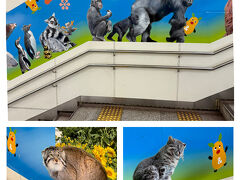 動物園の最寄り駅は 地下鉄東山線の東山公園駅。

駅階段に並ぶ、イケメンゴリラのシャバーニ・マヌルネコ・ツシマヤマネコにワクワク。

