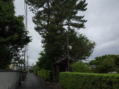 城下町の南端の路地
御成道に並行します。笹垣も乙です。