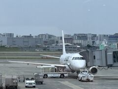 飛行機での移動