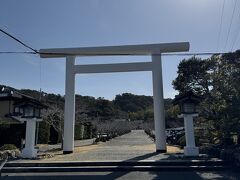 歩いて安房神社に到着。
