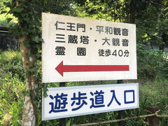 この山一帯が鳥居観音

鳥居観音は金比羅山系の白雲山の麓から山頂にかけての広大な敷地に、御堂、山門、仏塔などの多数の仏教施設や展望台が造られた施設である(コピペ)